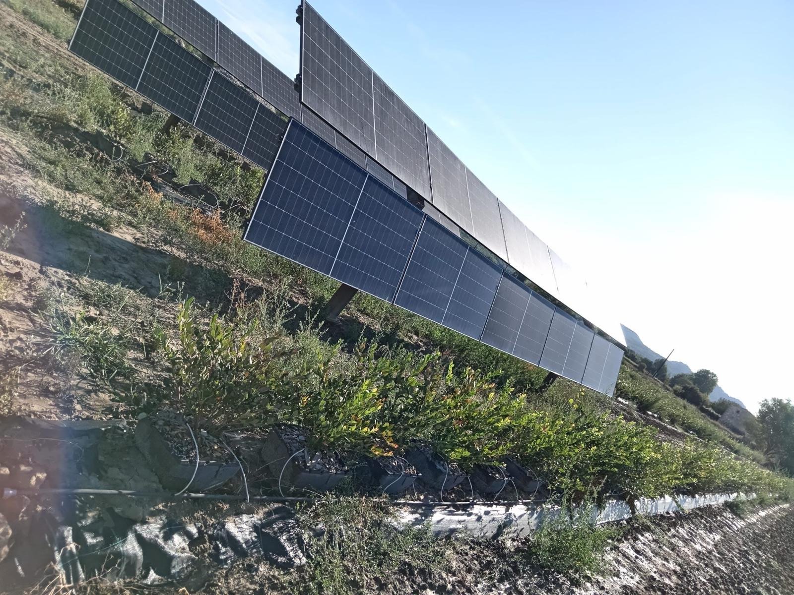 Chantier photovoltaïque 6